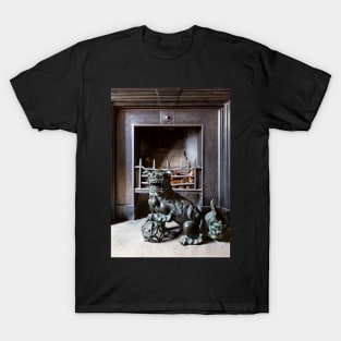 Astley Hall-Fire place T-Shirt